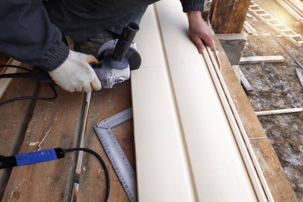 Best Siding Painting and Refinishing  in Tunnel Hill, GA