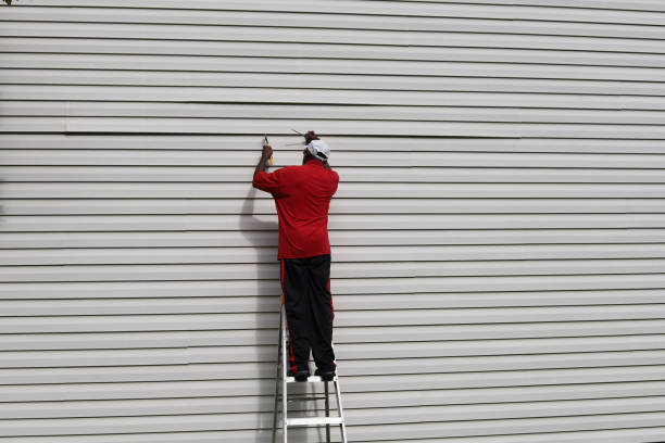 Best Brick Veneer Siding  in Tunnel Hill, GA